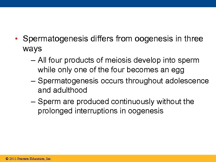  • Spermatogenesis differs from oogenesis in three ways – All four products of