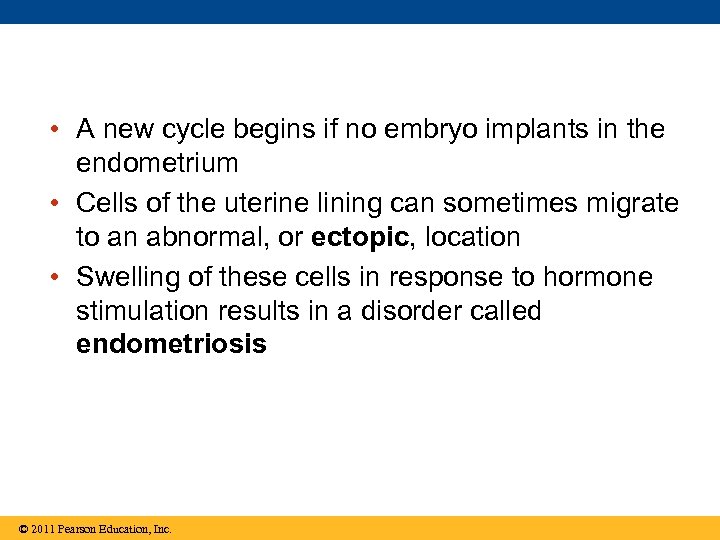  • A new cycle begins if no embryo implants in the endometrium •