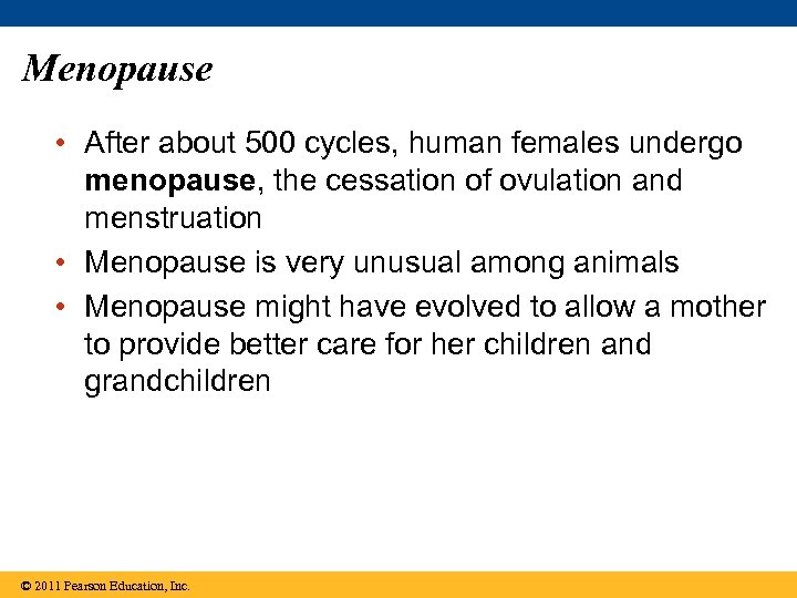 Menopause • After about 500 cycles, human females undergo menopause, the cessation of ovulation