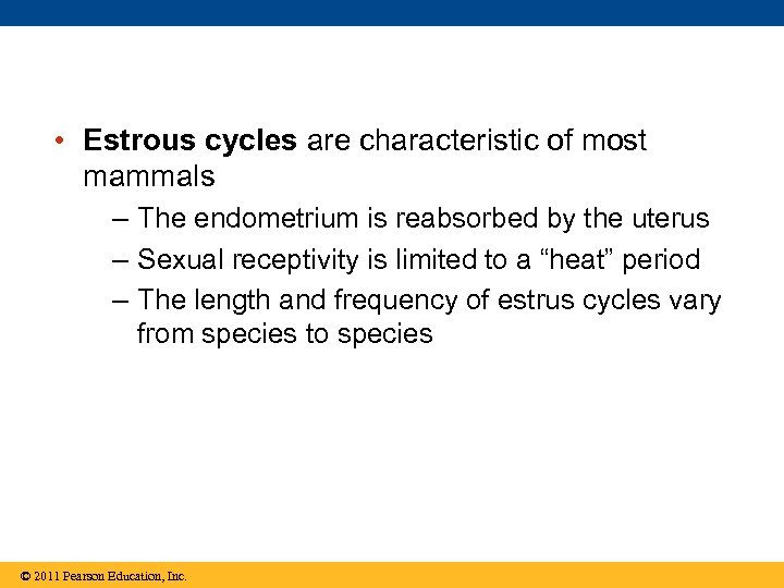  • Estrous cycles are characteristic of most mammals – The endometrium is reabsorbed