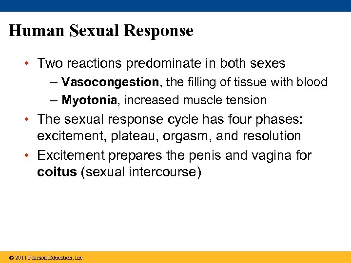 Human Sexual Response • Two reactions predominate in both sexes – Vasocongestion, the filling