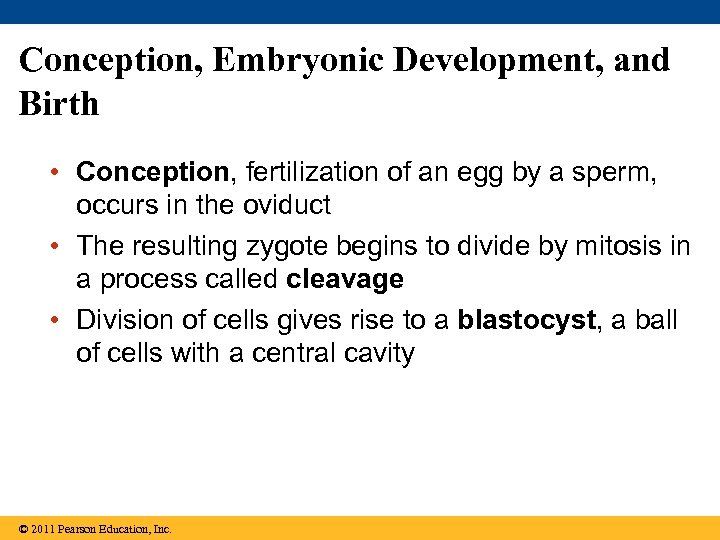 Conception, Embryonic Development, and Birth • Conception, fertilization of an egg by a sperm,