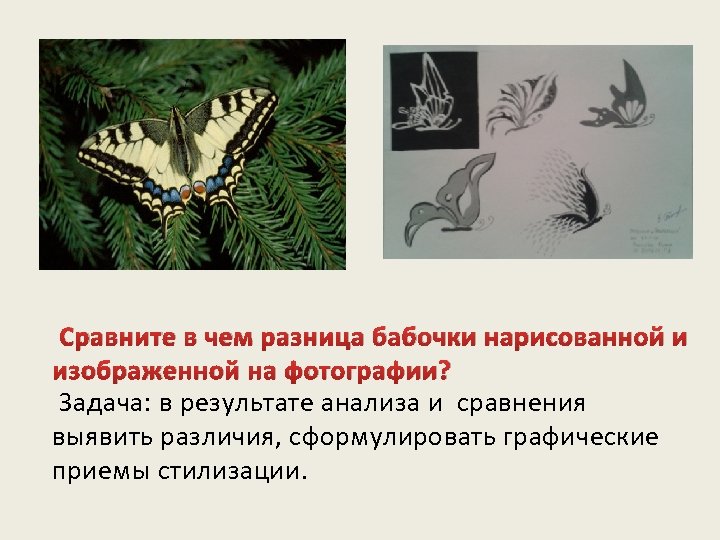 Сравните в чем разница бабочки нарисованной и изображенной на фотографии? Задача: в результате анализа