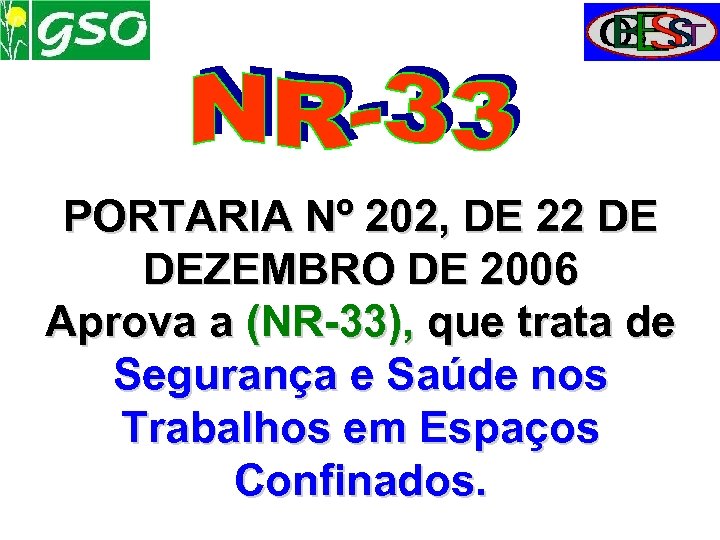 PORTARIA Nº 202, DE 22 DE DEZEMBRO DE 2006 Aprova a (NR-33), que trata