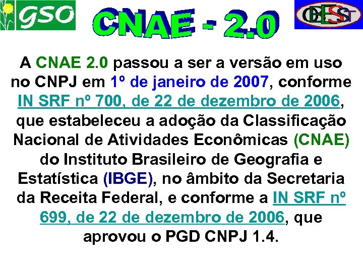 A CNAE 2. 0 passou a ser a versão em uso no CNPJ em
