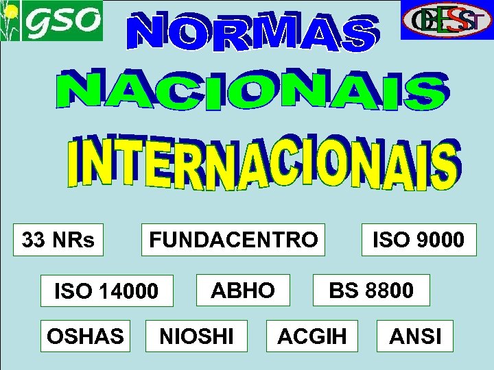 33 NRs FUNDACENTRO ISO 14000 OSHAS ABHO NIOSHI ISO 9000 BS 8800 ACGIH ANSI