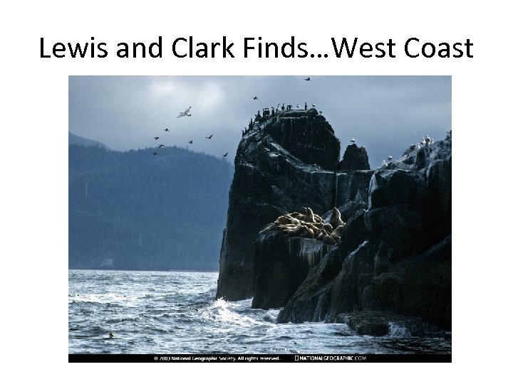 Lewis and Clark Finds…West Coast 