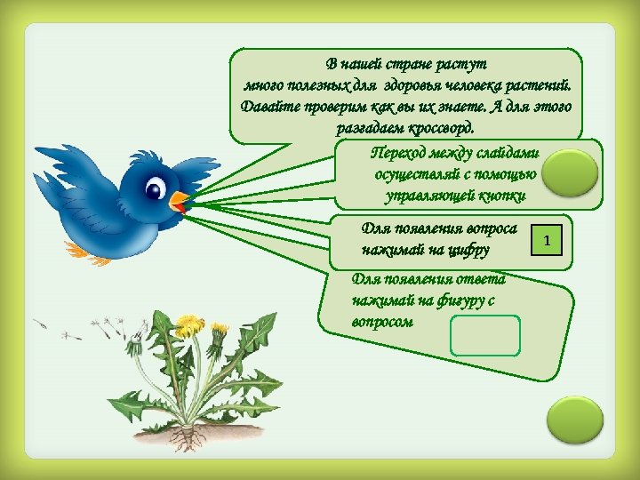 В нашей стране растут много полезных для здоровья человека растений. Давайте проверим как вы