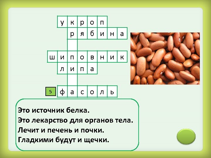 Трава 5 букв сканворд. Кроссворд на тему лекарственные растения. Кроссворд лекарственные растения. Кроссворд на тему лечебные растения. Кроссворд лекарственные рас.