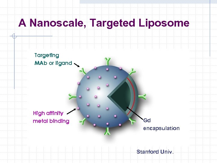 A Nanoscale, Targeted Liposome Targeting MAb or ligand High affinity metal binding Gd encapsulation