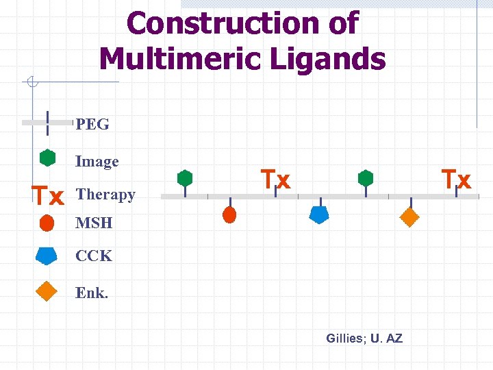 Construction of Multimeric Ligands PEG Image Therapy MSH CCK Enk. Gillies; U. AZ 