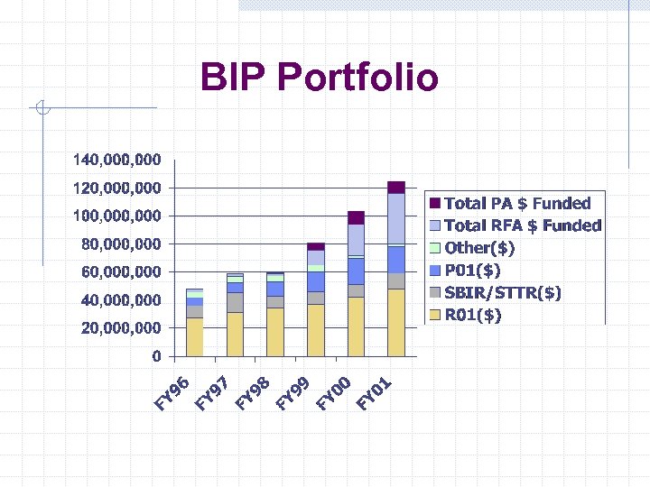 BIP Portfolio 