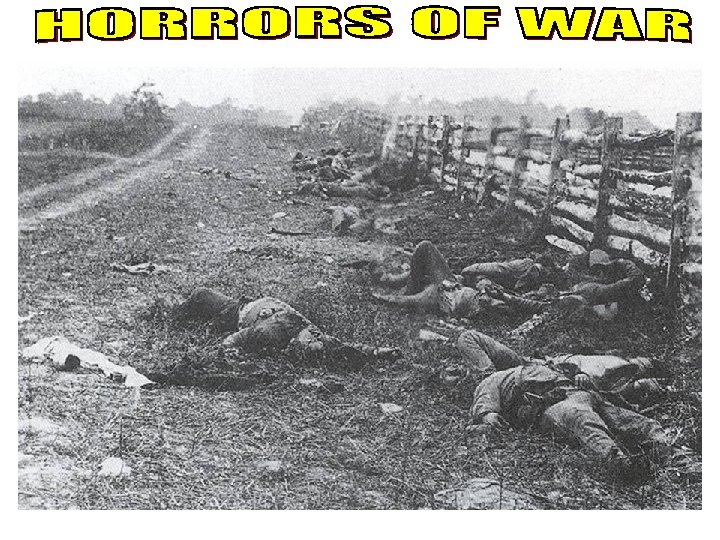 Horrors of War 3 
