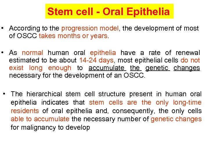 Stem cell - Oral Epithelia • According to the progression model, the development of