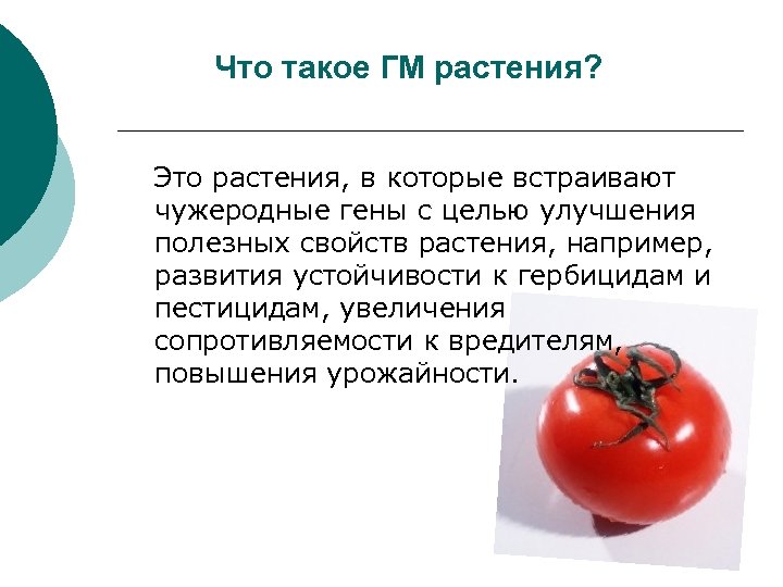 Что такое ГМ растения? Это растения, в которые встраивают чужеродные гены с целью улучшения