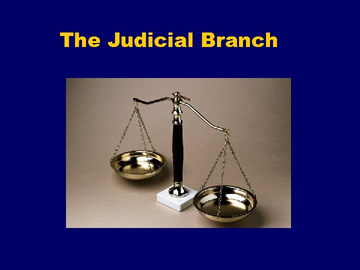 The Judicial Branch 