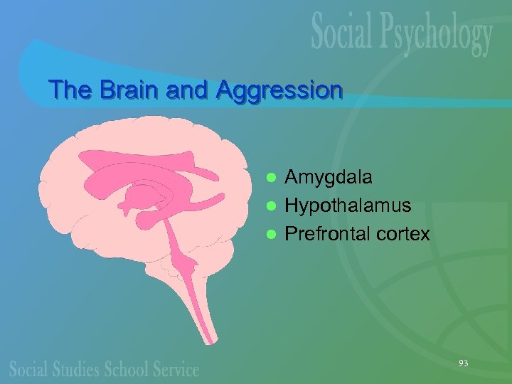 The Brain and Aggression Amygdala l Hypothalamus l Prefrontal cortex l 93 