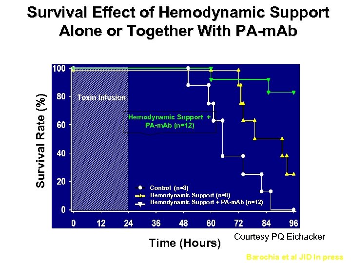 Survival Rate (%) Survival Effect of Hemodynamic Support Alone or Together With PA-m. Ab