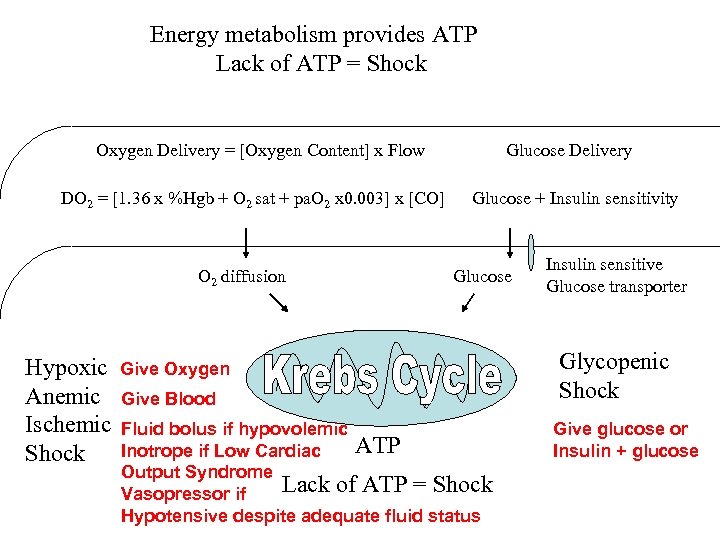 Energy metabolism provides ATP Lack of ATP = Shock Oxygen Delivery = [Oxygen Content]