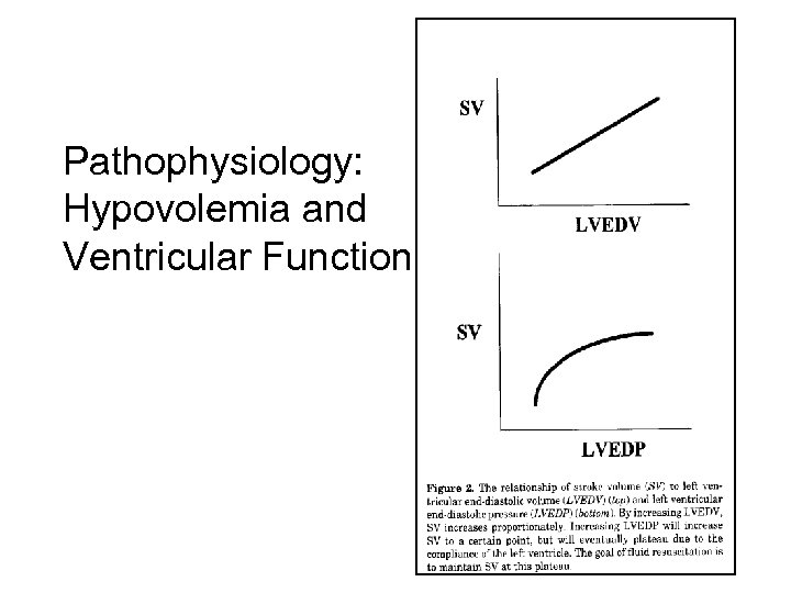 Pathophysiology: Hypovolemia and Ventricular Function 