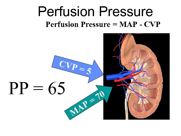 Perfusion Pressure = MAP - CVP =5 PP = 65 AP M 70 =