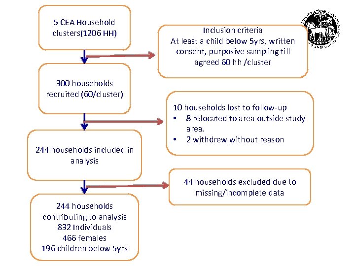 5 CEA Household clusters(1206 HH) 300 households recruited (60/cluster) 244 households included in analysis