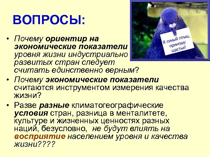 ВОПРОСЫ: • Почему ориентир на экономические показатели уровня жизни индустриально развитых стран следует считать