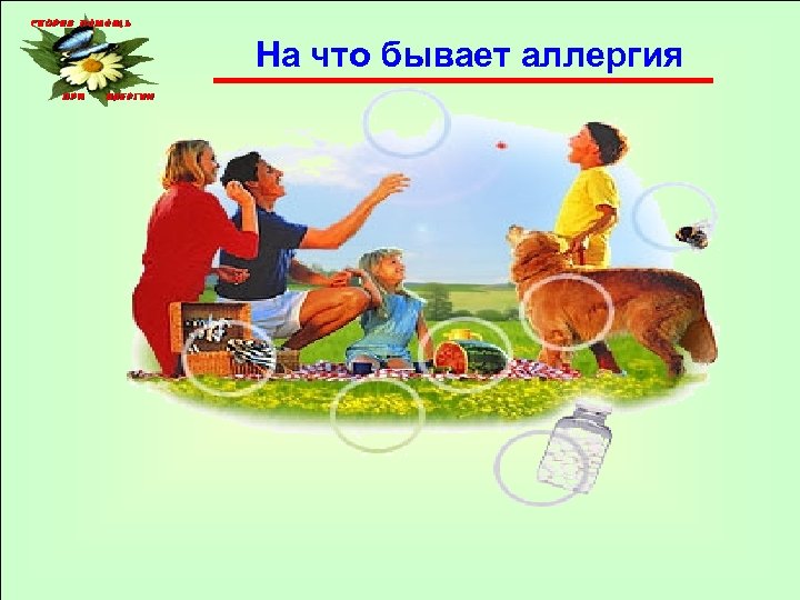 На что бывает аллергия 