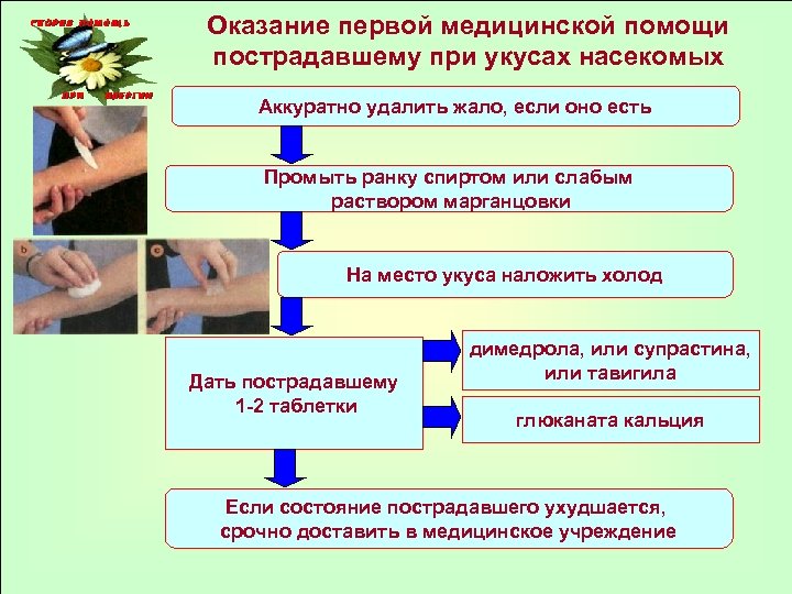 Оказание первой медицинской помощи пострадавшему при укусах насекомых Аккуратно удалить жало, если оно есть