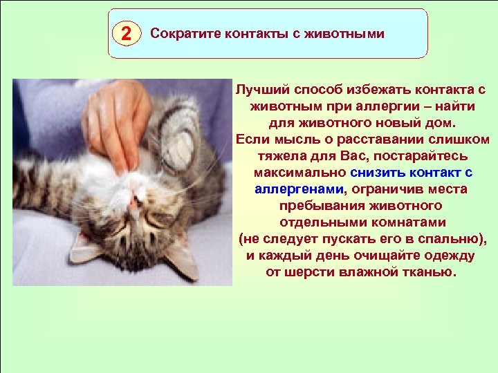 2 Сократите контакты с животными Лучший способ избежать контакта с животным при аллергии –