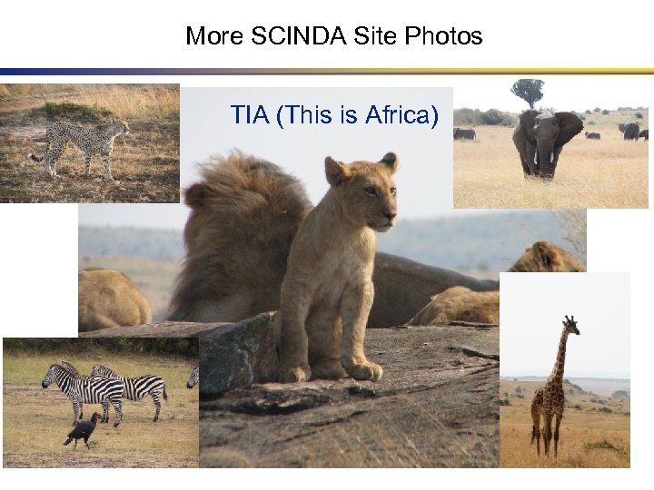 More SCINDA Site Photos TIA (This is Africa) 