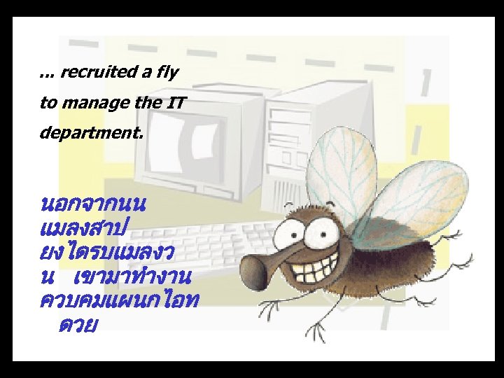 . . . recruited a fly to manage the IT department. นอกจากนน แมลงสาป ยงไดรบแมลงว