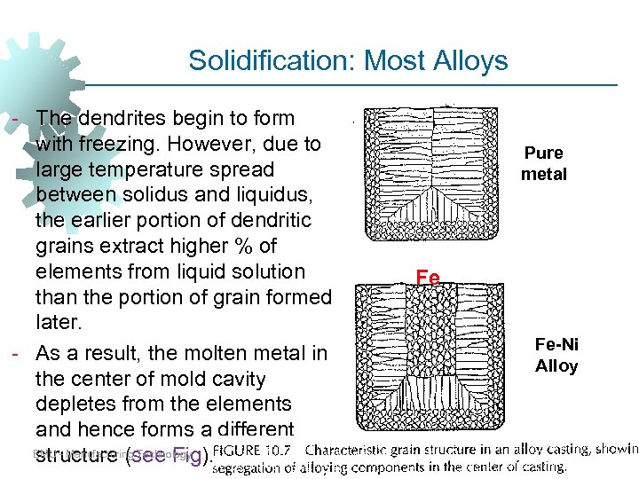 Solidification: Most Alloys - The dendrites begin to form with freezing. However, due to