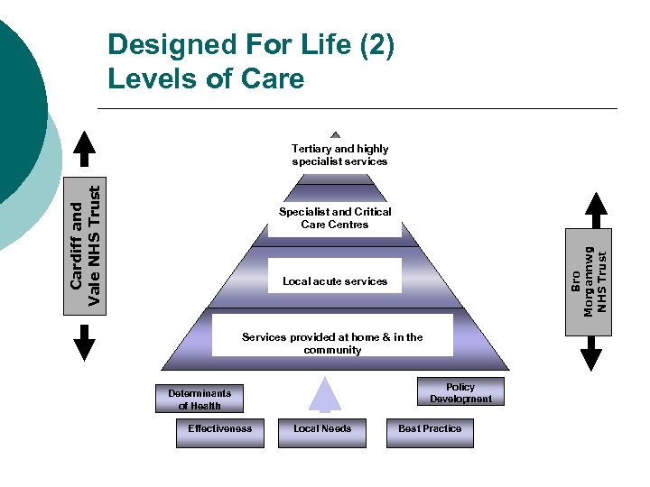 Designed For Life (2) Levels of Care Cardiff and Vale NHS Trust Tertiary and