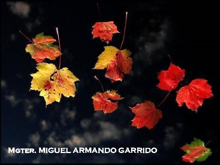 Fin Mgter. MIGUEL ARMANDO GARRIDO 