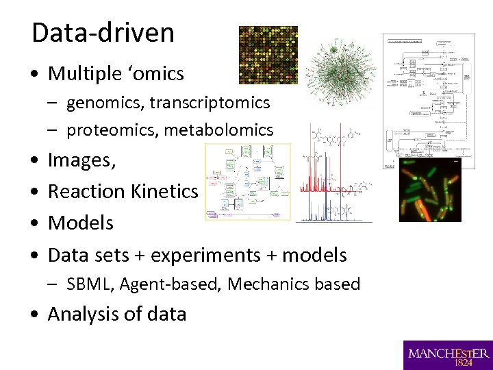 Data-driven • Multiple ‘omics – genomics, transcriptomics – proteomics, metabolomics • • Images, Reaction
