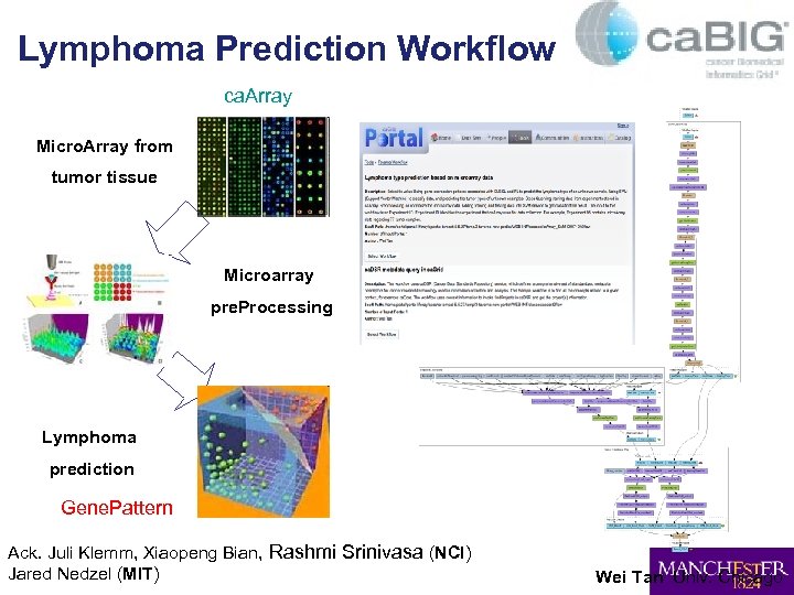 Lymphoma Prediction Workflow ca. Array Micro. Array from tumor tissue Microarray pre. Processing Use