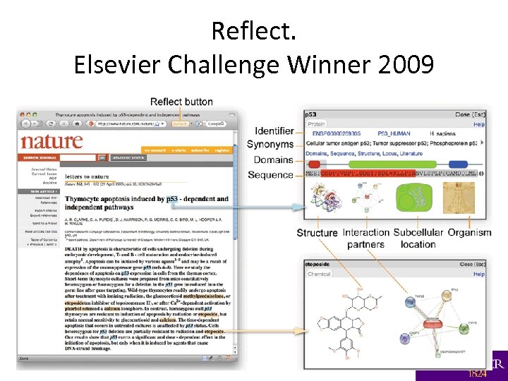 Reflect. Elsevier Challenge Winner 2009 