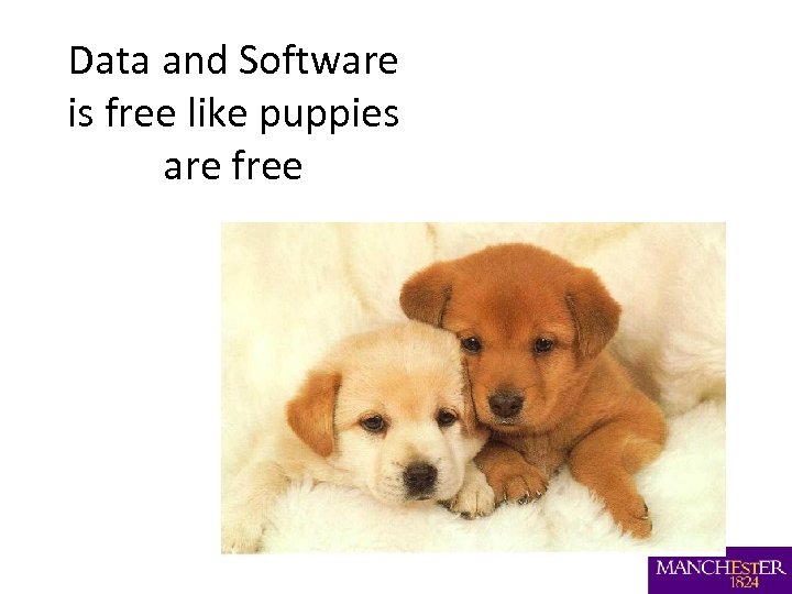 Data and Software is free like puppies are free 
