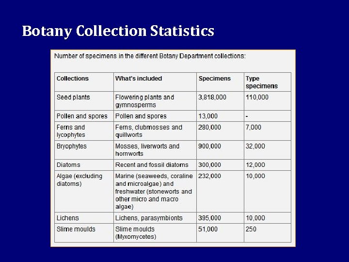Botany Collection Statistics The Vision • Real-time updates • Link related collections across departments