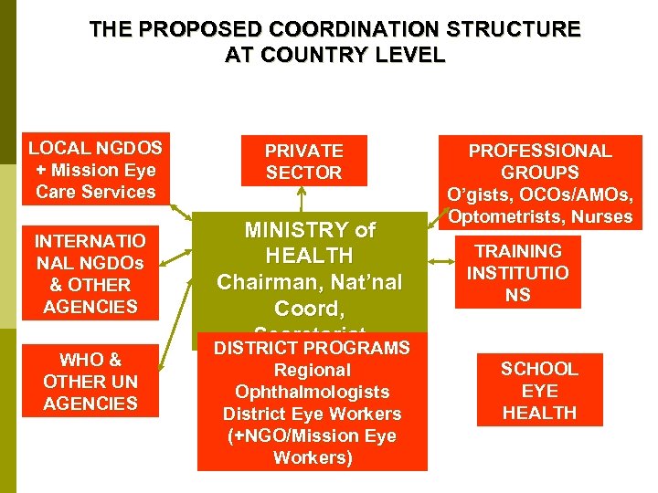 THE PROPOSED COORDINATION STRUCTURE AT COUNTRY LEVEL LOCAL NGDOS + Mission Eye Care Services