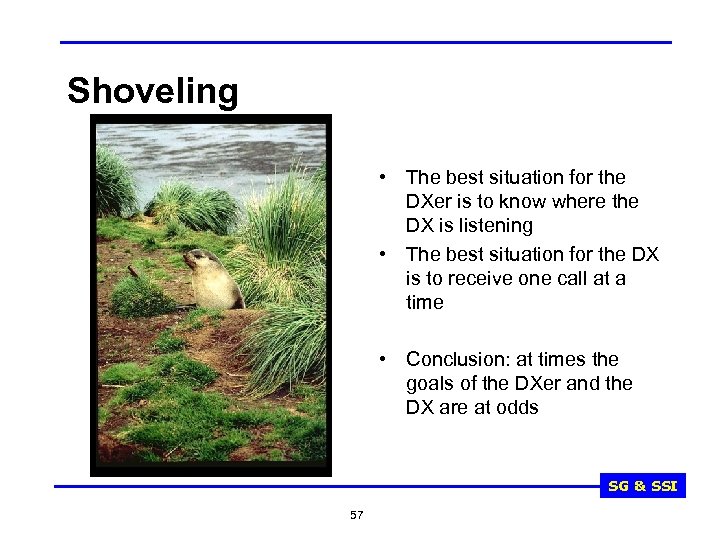 Shoveling • The best situation for the DXer is to know where the DX