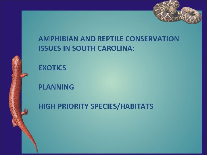 AMPHIBIAN AND REPTILE CONSERVATION ISSUES IN SOUTH CAROLINA: EXOTICS PLANNING HIGH PRIORITY SPECIES/HABITATS 