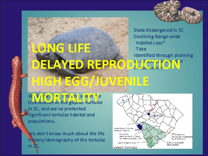 State Endangered in SC Declining Range-wide Habitat Loss* Take Identified through planning as a
