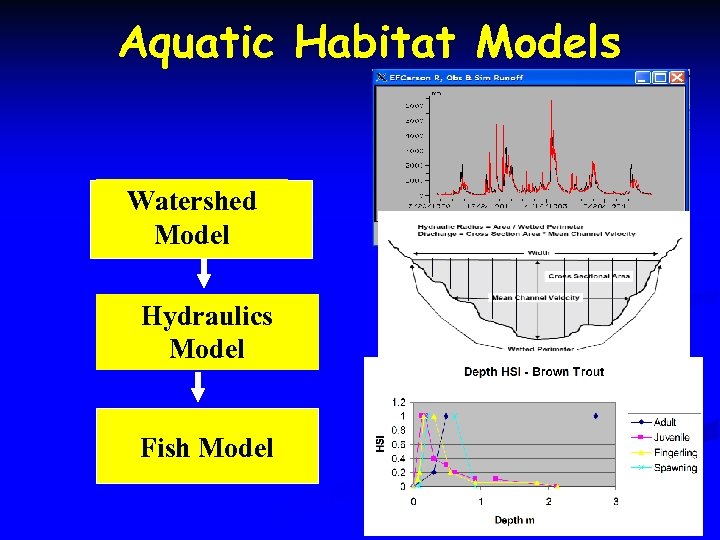 Aquatic Habitat Models Watershed Model Hydraulics Model Fish Model 