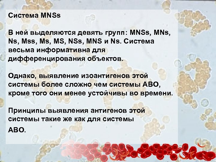 Система MNSs В ней выделяются девять групп: MNSs, MNs, Mss, MS, NSs, MNS и