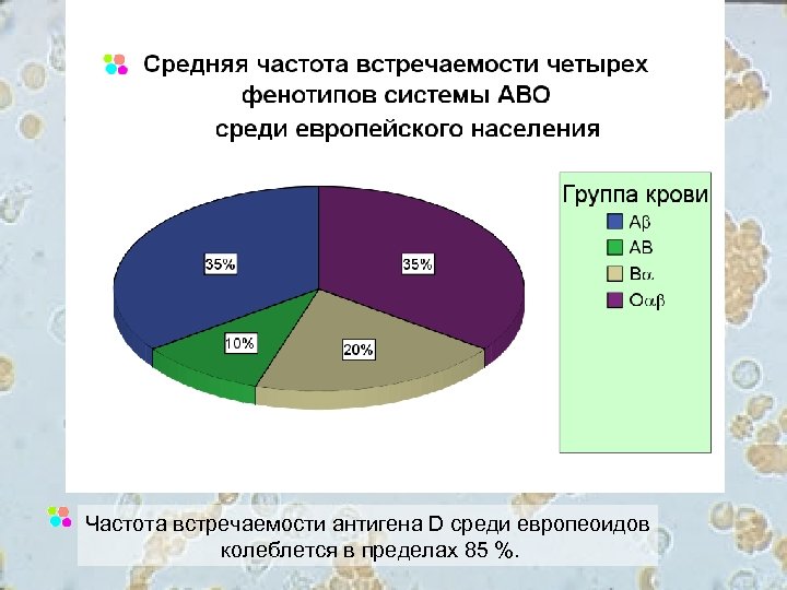 Частота встречаемости антигена D среди европеоидов колеблется в пределах 85 %. 