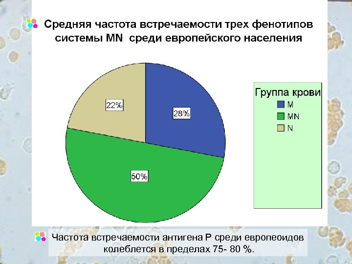 Частота встречаемости антигена Р среди европеоидов колеблется в пределах 75 - 80 %. 