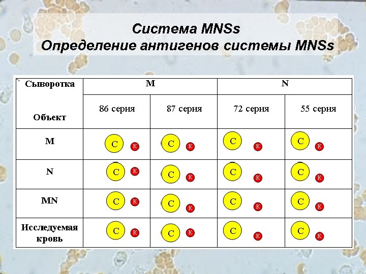 Система MNSs Определение антигенов системы MNSs 