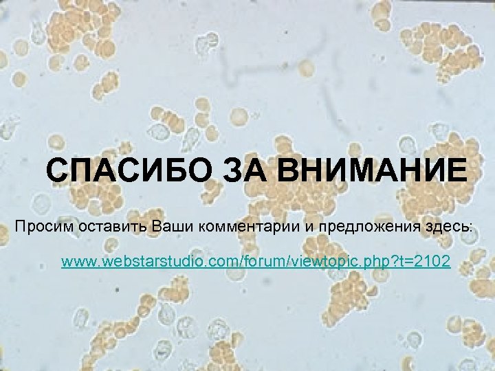 СПАСИБО ЗА ВНИМАНИЕ Просим оставить Ваши комментарии и предложения здесь: www. webstarstudio. com/forum/viewtopic. php?